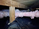 Insulation Specialist / Crawl space / Attic / Encapsulation ๐ ๐ฆ