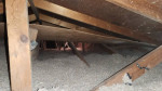 BEAT THE HEAT W/ INSTANT SRP REBATES🌞 BLOWN-IN INSULATION