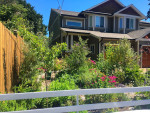 ๐ Organic Edible Garden, Ecofriendly Food Forest, SymbiOp Landscaping
