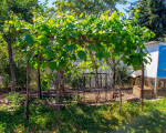 ๐ Organic Edible Garden, Ecofriendly Food Forest, SymbiOp Landscaping