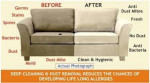 CARPET CLEANING TILE GROUT CLEANERS UPHOLSTERY CLEANER Scottsdale