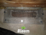 Crawl Space Vent Screen - Repair - Replace - Local - Pest Control