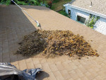 ☀️☀️☀️ DIRTY ROOF? We can fix that! Professional Cleaning & Maintena
