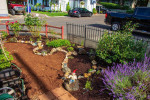 ๐ Low Maintenance Landscape, Native, Rain Garden, SymbiOp Landscaping