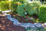๐ Low Maintenance Landscape, Native, Rain Garden, SymbiOp Landscaping