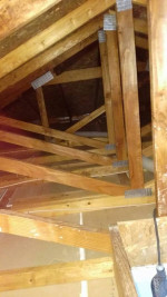 Mold Removal for Attics & Crawl Spaces - Call or Text 425v903v6453