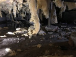 Mold Removal for Attics & Crawl Spaces - Call or Text 425v903v6453