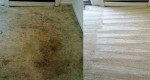 2 Rms $90 Carpet Cleaning...🙀Pet Stain Odor/ Tile/Upholstery Cleaner