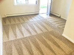 CARPET CLEANER UPHOLSTERY STEAM CLEANING TILE and GROUT Gilbert