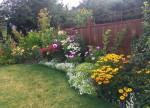 ๐ Landscape Design, Restore Habitat, Tree Service, Yard Work, Cleanup