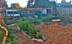 ๐ Landscape Design, Restore Habitat, Tree Service, Yard Work, Cleanup