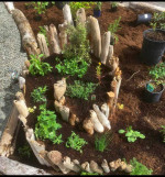 ๐ Landscape Design, Restore Habitat, Tree Service, Yard Work, Cleanup