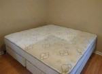 CARPET CLEANER UPHOLSTERY CLEANING TILE CLEANERS