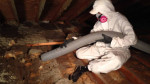 MOLD REMOVAL IN ATTIC & CRAWL SPACE - ATTIC & CRAWL SPACE CLEANING