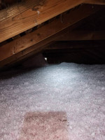 MOLD REMOVAL IN ATTIC & CRAWL SPACE - ATTIC & CRAWL SPACE CLEANING