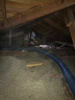 Insulation Services