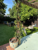 🔥🔥🔥 🇺🇸HERNANDEZ LANDSCAPES👈👌👍🌻🌺🌴🌳🎄🌵