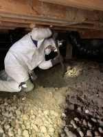 🟢 ATTIC & CRAWL SPACE INSULATION SERVICES🟢 425x903x6453