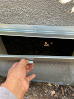 Pest control /Rodent control
