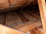 Pest control /Rodent control