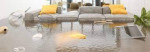 🤢Mold Removal🕵️Mold Testing 💦Water Damage?  ☎️ John The MoldMan