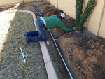 Tree Cutting & stump Grinding in Phoenix.Scottsdale,Carefree,Cavecreek