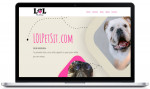 🚀 $99 Professional Web Design ⚡ Quality Websites ⚡ No Deposit