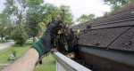 HANDYMAN PAINTING DRYWALL FLOORING BATHROOM PLUMBING REMODEL REPAIRS