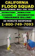 FLOOD CLEANING SERVICE__WATER DAMAGE CLEAN UP__CARPET REMOVAL SERVICES