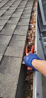 $99 Gutter cleaning, Lifetime Gutter guards, Roof Cleaning, TREE TRIM