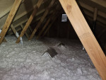 Attic Insulation