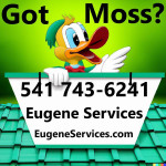 🌟🌦ROOF MOSS GUTTER HOUSE PRESSURE WASHING CLEANING LABOR HANDYMAN☎️