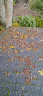 🌟🌦ROOF MOSS GUTTER HOUSE PRESSURE WASHING CLEANING LABOR HANDYMAN☎️