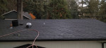 🌟🌦ROOF MOSS GUTTER HOUSE PRESSURE WASHING CLEANING LABOR HANDYMAN☎️