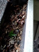 🌟🌦ROOF MOSS GUTTER HOUSE PRESSURE WASHING CLEANING LABOR HANDYMAN☎️