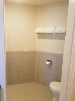 HANDYMAN EVERYTHING IN AND OUT OF THE HOME