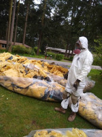 Rodents in Attic or Crawl Space? We can Clean Out 425x903x6453
