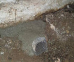 Rodents in Attic or Crawl Space? We can Clean Out 425x903x6453