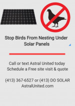 Solar Bird Evictions 🚫🐦
