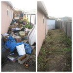 Dumpster Rental & Junk Removal