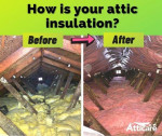 Orange County Attic Insulation & Cleaning Specialists 🧹Rodent Control