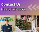 Rats / Mice in the attic? We clean, disinfect and get rid of rodents