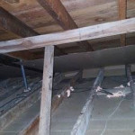 CLEAN OUT PROS- INSULATION FOR CRAWL SPACES & ATTICS 425X903X6453