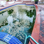 POOL SERVICE MAINTENANCE & REPAIRS Starting At $100 -ONE MONTH FREE!