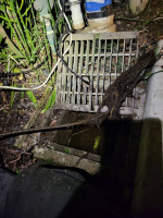 FLOODING? NEED OUTSIDE AREA DRAINS SNAKED! Make an appointment now!