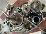 You Break It We Fix It🔧🔧🏍️ Mobile Small Engine Repair🏍️🔧