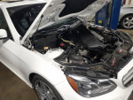 (919)374-6855  import & domestic car  repair
