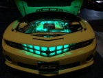 Expert Auto Repair
