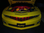 Expert Auto Repair