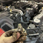 automotive repair / Dirty myrtle automotive